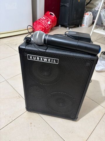 מערכת קריוקי