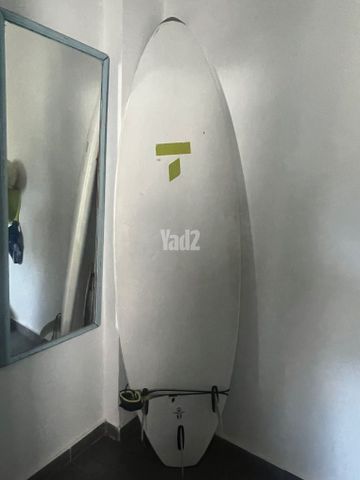 גלשן שורט