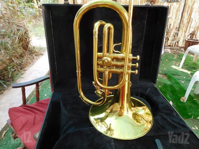 כלי נשיפה - Mellophone