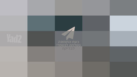 דיסיק חיתוך מקיטה "מקורי"