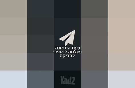 רמקול מוגבר JST