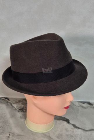 כובע לבד  Stetson Richmond