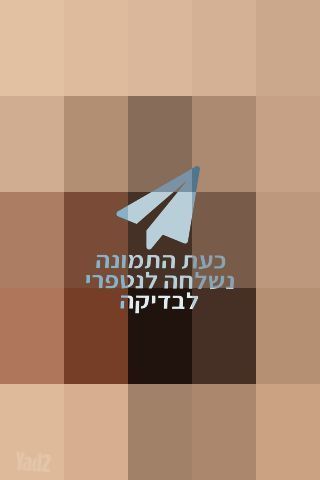 גיטרה