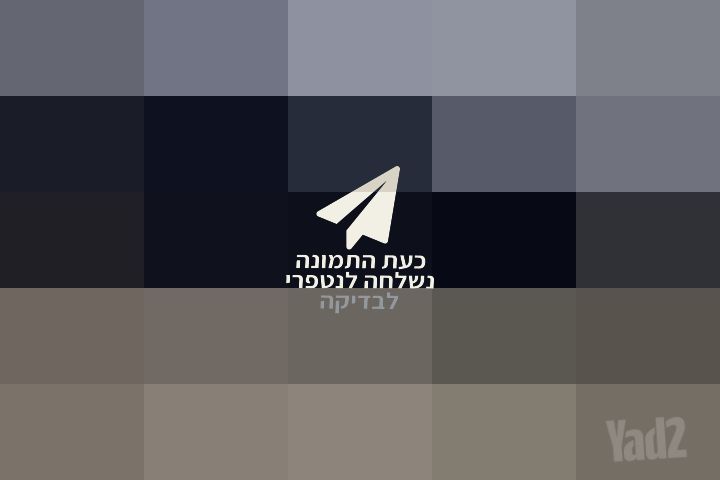נרתיק לכינור 4/4