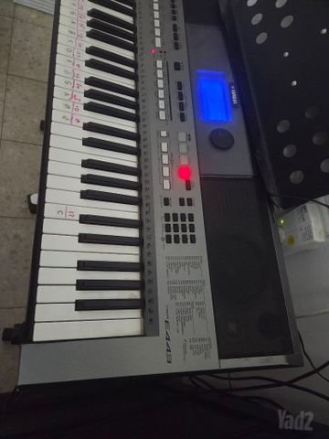 אורגן