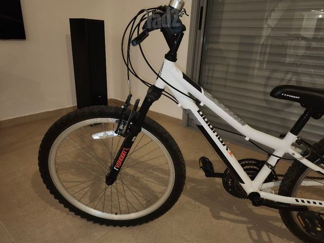 אופני  specialized 24
