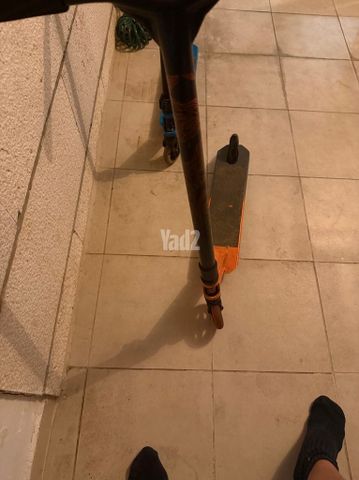 סקוט