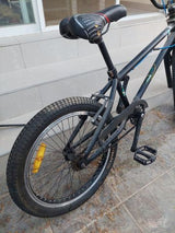 אופני פעלולים 20''
