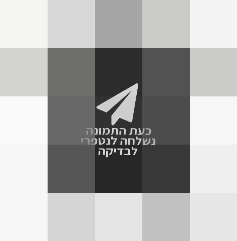 גריל גז