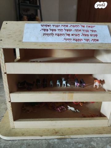 דגם תיבת נוח מעץ