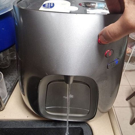 תמי 4 פרימו