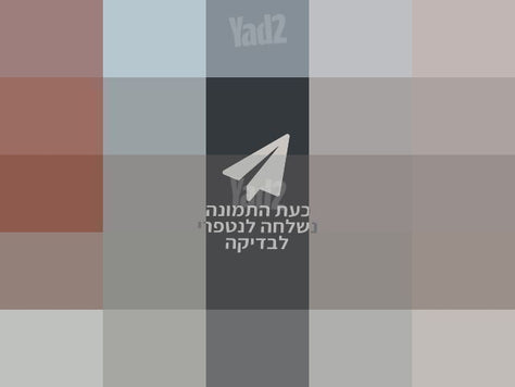 תלת אופן