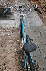 אופני עיר evoke