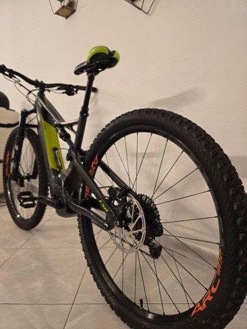 Specialized