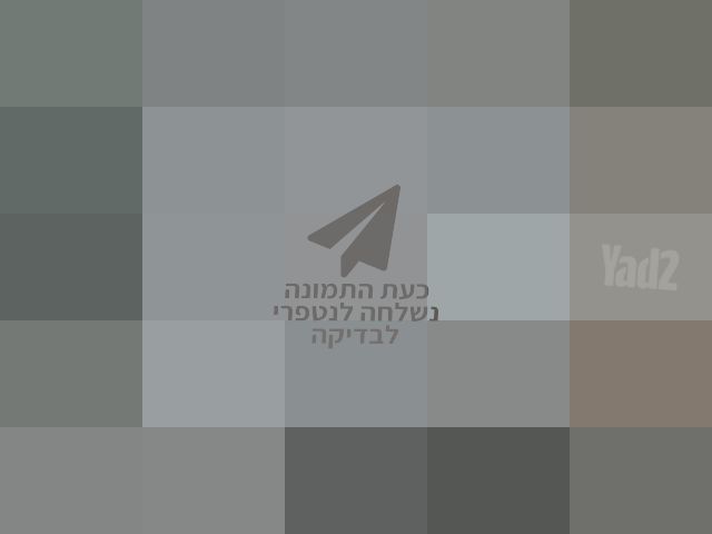 כינור The rose R35 MB 4/4