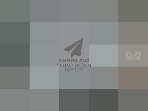 כינור The rose R35 MB 4/4