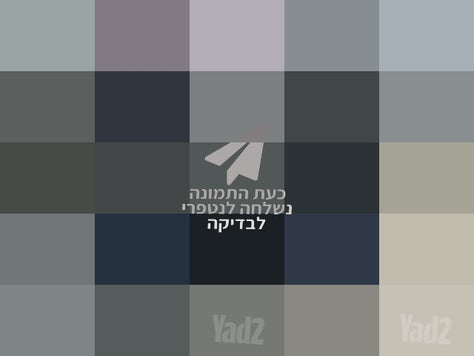 קולנועית