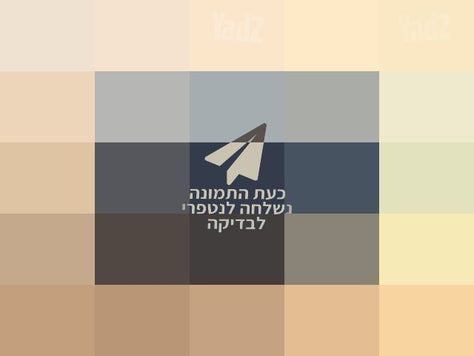 מצלמת קנון SX600 כמו חדשה!!!