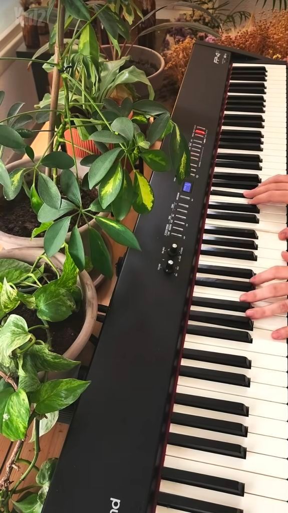 Roland FP-4F פסנתר חשמלי