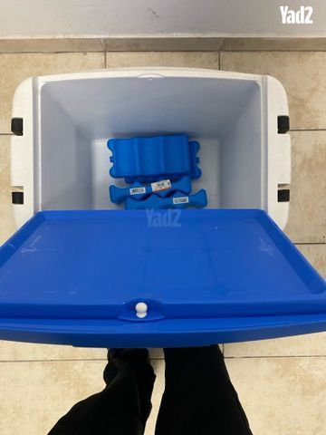 צידנית