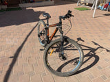 אופני הרים Raleigh 3900