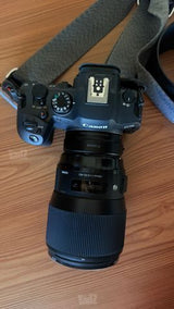 Canon R6 mark ii+Sigma ART135