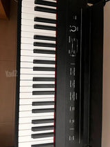 Alesis concert digital