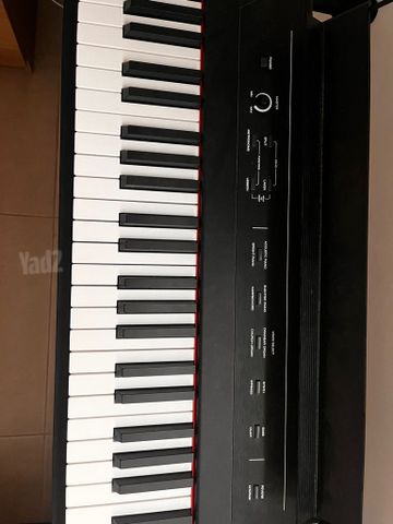 Alesis concert digital