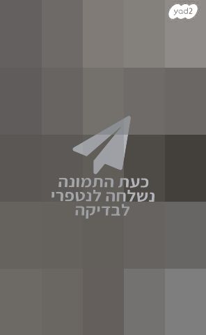 פאה