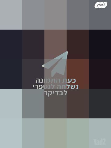 כינור