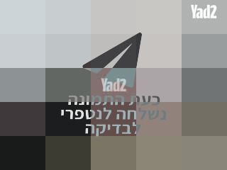 סלון
