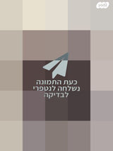 מזוודה