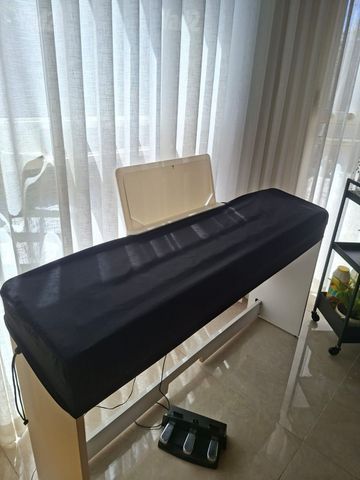 פסנתר\אורגן korg
