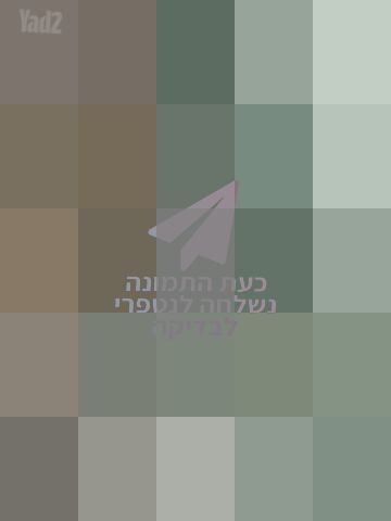 ראוטר TP-link