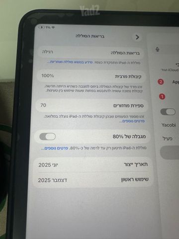 Ipad a16