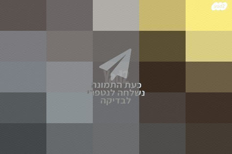 אורגן PAX4
