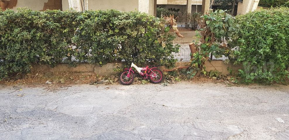 אופני ילדים