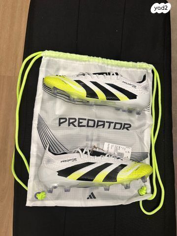 Predator