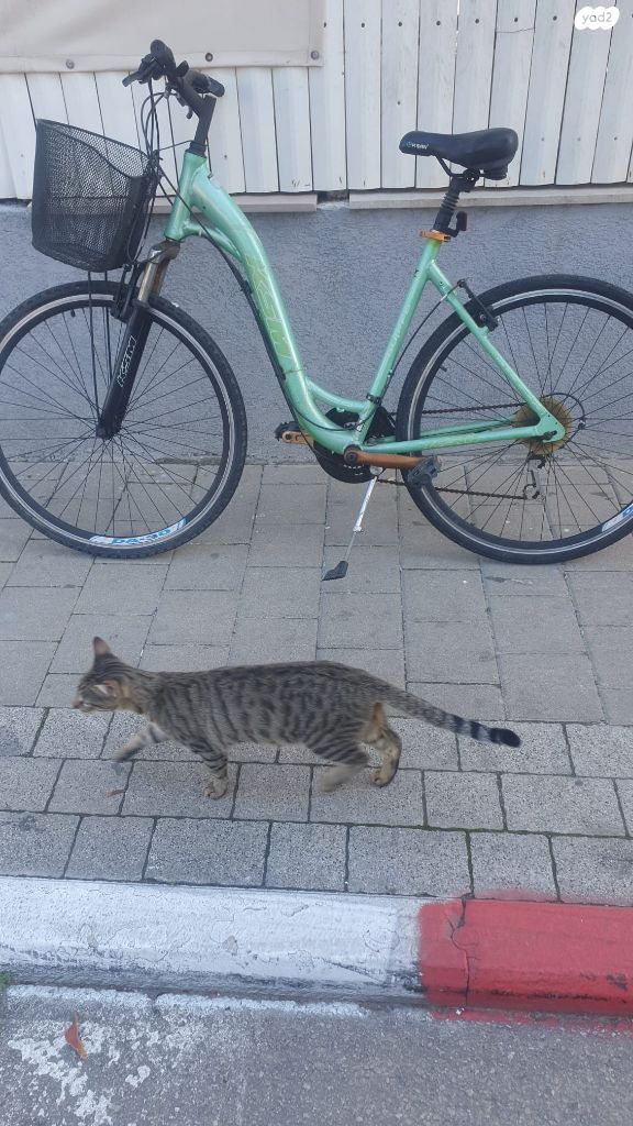 אופני עיר