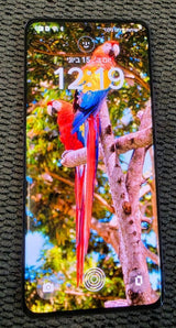 OPPO Reno10 Pro 5G