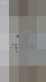 כוננית מעוצבת