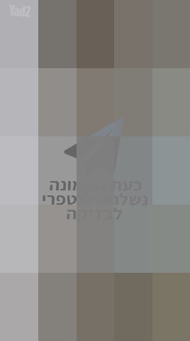 כוננית מעוצבת