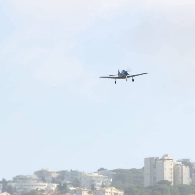 טיסן p-39 של eflite