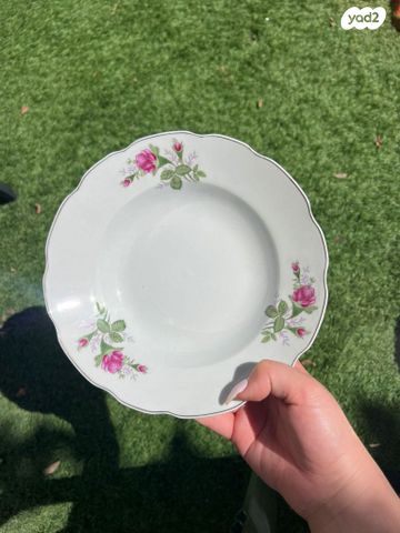צלחות חגיגיות