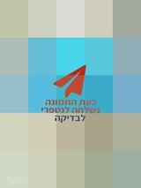 שולחן פינג פונג חוץ