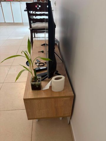טלוויזיה