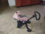 עגלת צעצוע