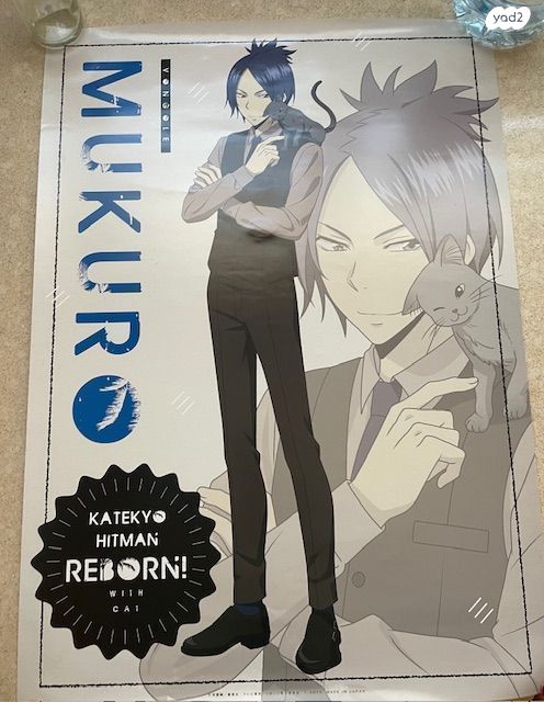 פוסטר רשמי של האנימה Reborn