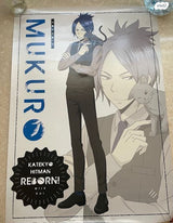 פוסטר רשמי של האנימה Reborn
