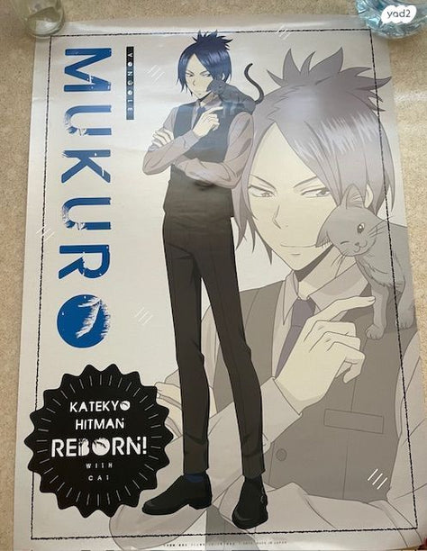 פוסטר רשמי של האנימה Reborn